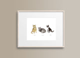 Your Pet Illustration 5 X 7"