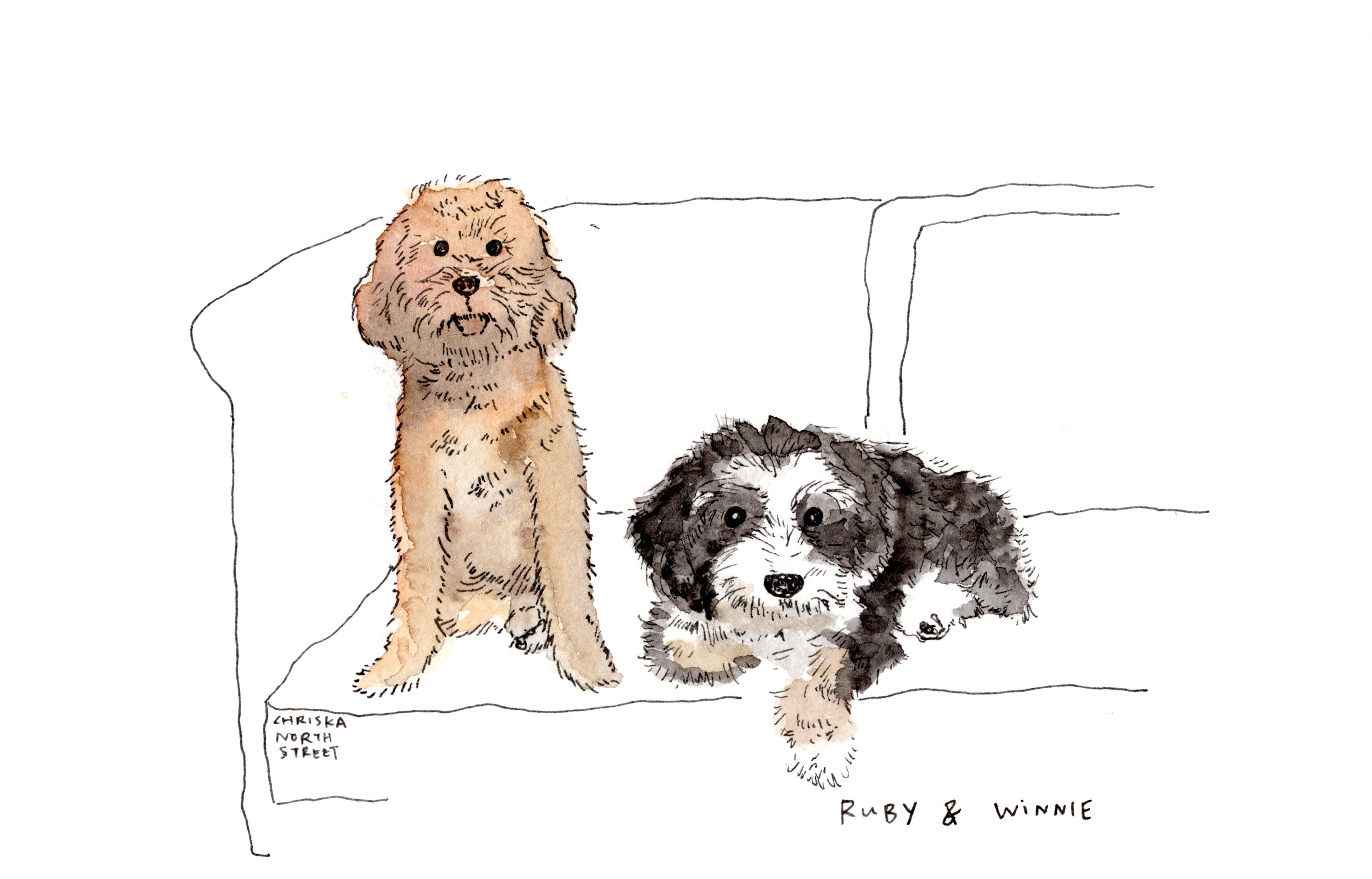Your Pet Illustration 8 X 10"